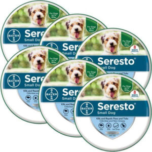 6 Pack 8 Month Prevention Kills And Repels Fleas And Ticks For Small Dogs